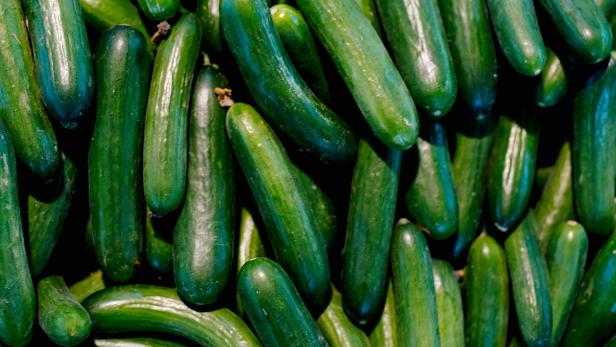 At Least 68 People Across 19 States Sickened in Salmonella Outbreak Linked to Cucumbers